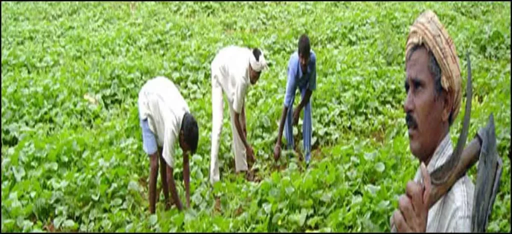 Khedut Akasmat Vima Yojana form pdf | Khedut Akasmat vima Yojana Gujarat | Farmers Accidental Insurance Scheme | akasmat mrutyu sahay yojana gujarat | ખેડૂત અકસ્માત વીમા યોજના । મૃત્યુ સહાય યોજના 