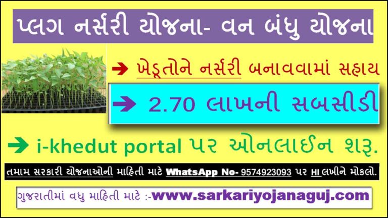 Gujarat Vanbandhu Yojana- Plug Nursery | પ્લગ નર્સરી (વનબંધુ યોજના)