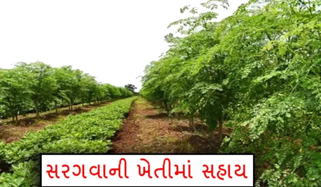 gujarat agriculture subsidy scheme |
agriculture department gujarat |
krishi rahat package gujarat |
krushi sahay yojana gujarat 2021 |