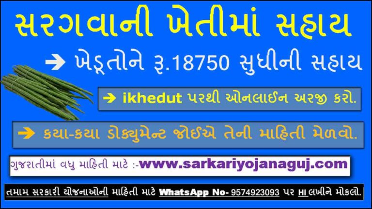 સરગવાની ખેતીમાં સહાય | Drumstick Farming In Gujarat - Subsidy Scheme