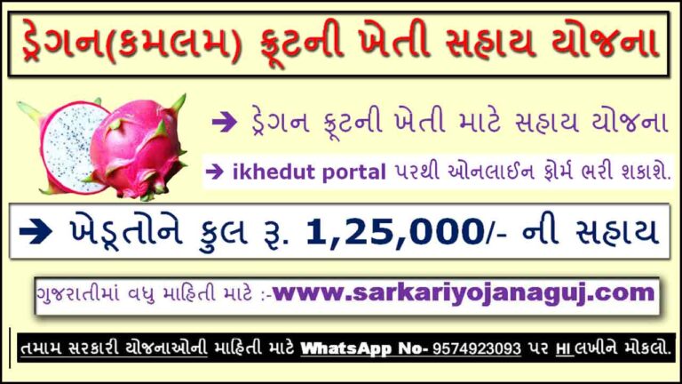 Gujarat Dragon Fruit Farming Scheme | ડ્રેગન ફ્રૂટની ખેતી સહાય યોજના