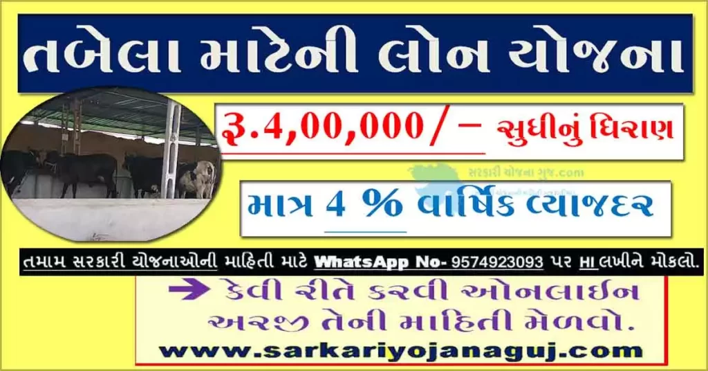 તબેલા માટેની લોન યોજના । Tabela Loan In Gujarat 2022