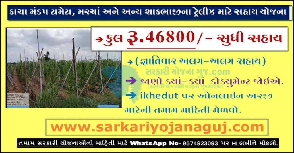 કાચા મંડપ ટામેટા, મરચાં અને અન્ય શાકભાજીના ટ્રેલીઝ માટે સહાય યોજના