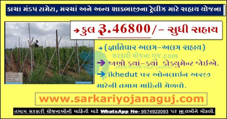 કાચા મંડપ ટામેટા, મરચાં અને અન્ય શાકભાજીના ટ્રેલીઝ માટે સહાય યોજના