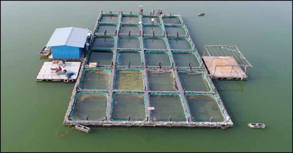 COF Gujarat | isheries Schemes | matsya palan yojana in gujarat | મત્સ્ય પાલન ની યોજના