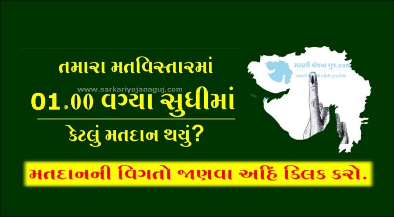 Gujarat Election 2022 Live Update: 34.74% turnout till 01.00 PM | મતદાનની ટકાવારી જાણો