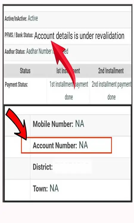 What Is PM Kisan Revalidation Process With Bank?
