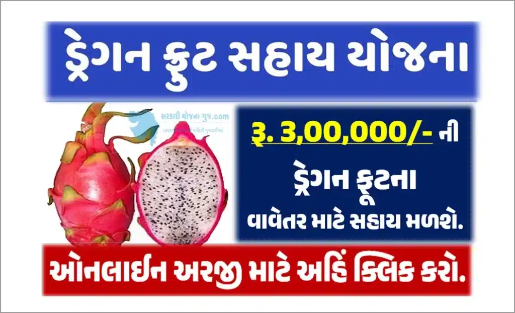 ખેડૂતોને ડ્રેગન ફ્રૂટના વાવેતર માટે રૂ. 3 લાખની સહાય મળશે. । Dragon Fruit Farming Scheme