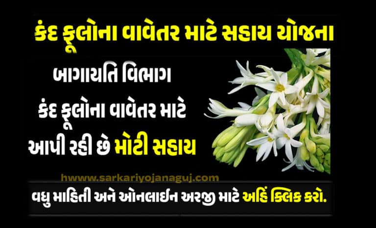 કંદ ફૂલોના વાવેતર માટે સહાય યોજના । Support Scheme for Plantation of Tuberous Flowers in Gujarat