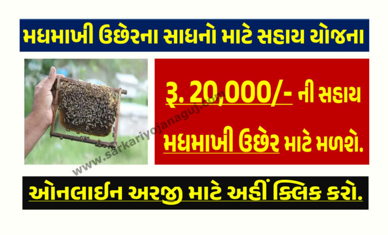 મધમાખી ઉછેરના સાધનો માટે સહાય યોજના । Assistance Scheme for Beekeeping Equipment in Gujarat