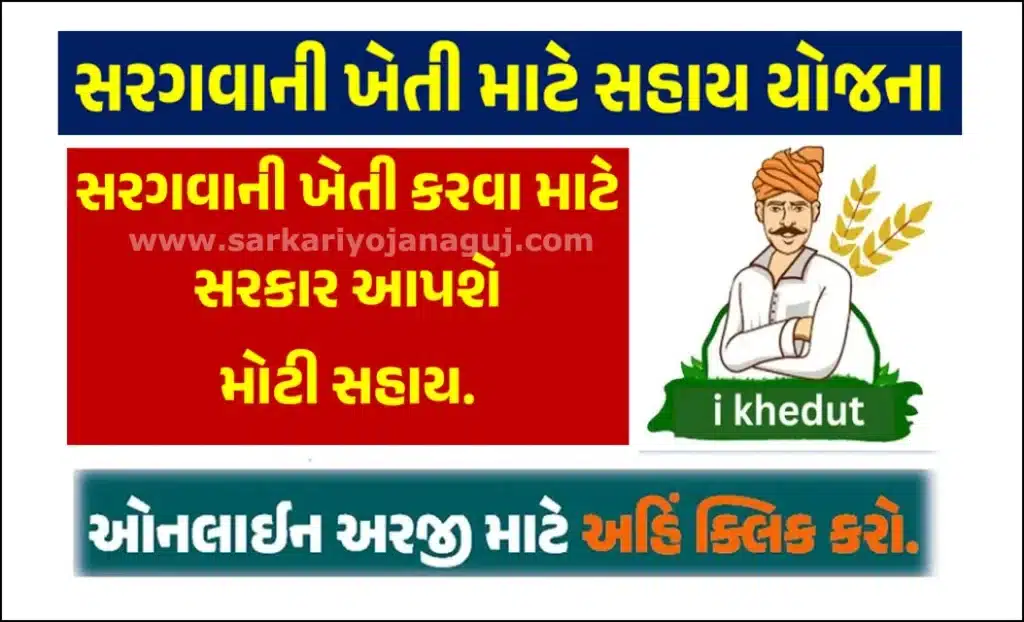 Assistance Scheme for Sargava Cultivation in Gujarat
