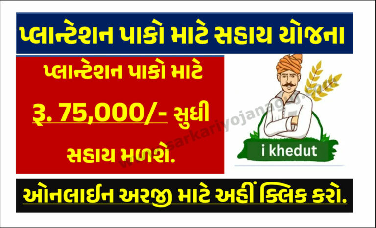 પ્લાન્ટેશન પાકો માટે સહાય યોજના । Support Scheme for Plantation Crops in Gujarat