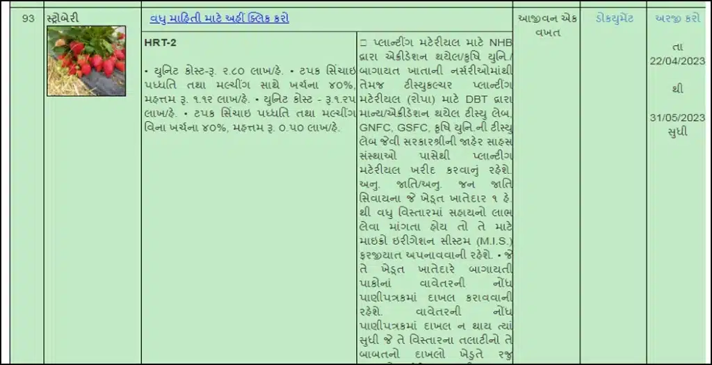 સ્ટ્રોબેરીની ખેતી માટે સહાય યોજનામાં ઓનલાઇન અરજી કેવી