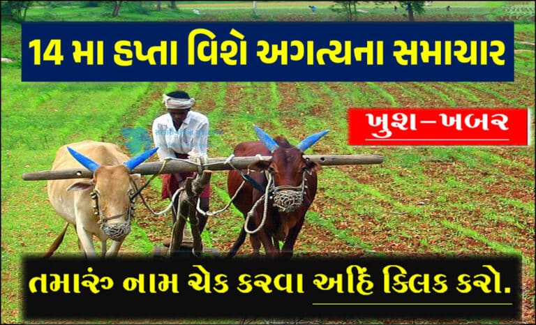 PM Kisan Beneficiary Status New Update: પીએમ કિસાન યોજનાના 14 હપ્તા વિશે લેટેસ્ટ માહિતી મેળવો.