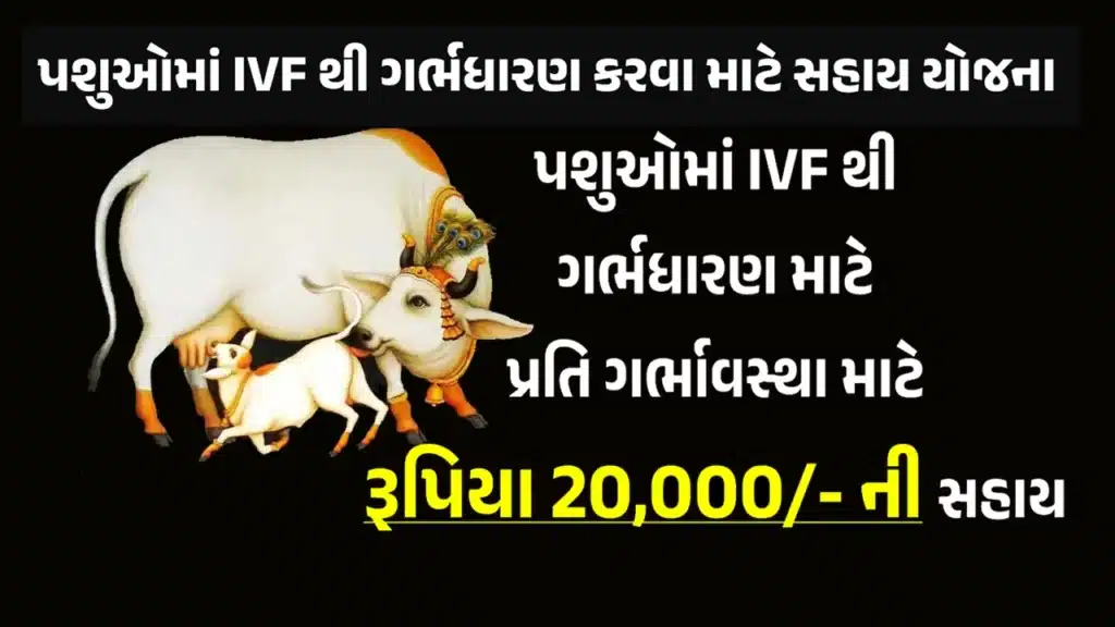 Animal IVF Assistance Scheme