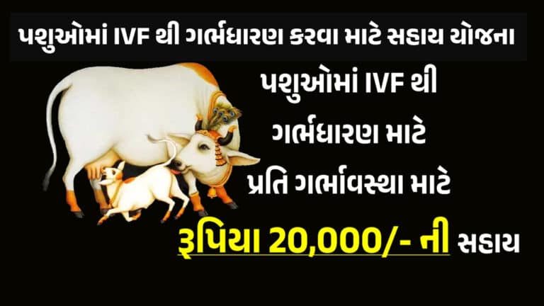 ગાય કે ભેંસમાં IVF થી ગર્ભધારણ માટે સરકાર પશુપાલકોને રૂપિયા 20,000 ની સહાય આપશે. : જાણો કોને, ક્યારે અને કેવી રીતે?