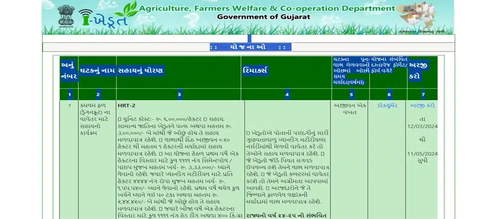 Dragon Fruit Farming Sahay Yojana On Ikhedut