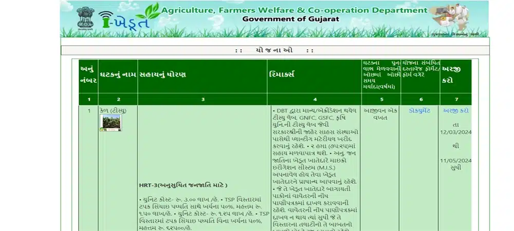 How to Online Apply Banana Tissue Culture Plants Scheme in Gujarat | કેળના ટીસ્યુ કલ્ચરના રોપા માટેની સહાય યોજનામાં ઓનલાઇન અરજી કેવી રીતે કરવી?