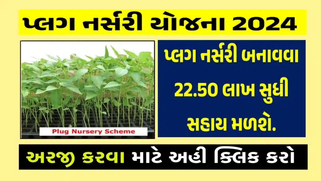 Plug Nursery Scheme 2024 | પ્લગ નર્સરી યોજના 2024