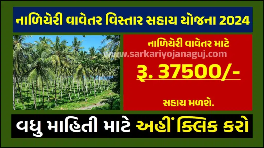 Coconut Plantation Area Assistance Scheme 2024