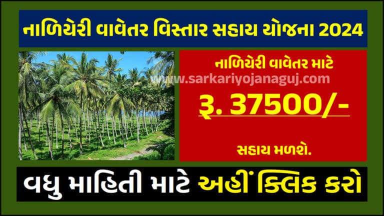 Coconut Plantation Area Assistance Scheme 2024 | નાળીયેરી વાવેતર વિસ્તાર સહાય યોજના 2024