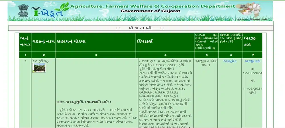 કેળના ટીસ્યુકલ્ચરના રોપા માટેની સહાય યોજનામાં ઓનલાઇન અરજી કેવી રીતે કરવી?