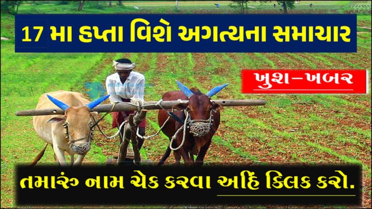 PM Kisan 17th Installment 2024 Beneficiary List : પીએમ કિસાન યોજનાના 17 મા હપ્તાની યાદી