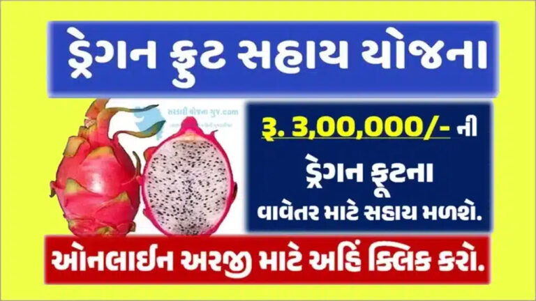 ડ્રેગન ફ્રુટ સહાય યોજના હેઠળ વાવેતર માટે રૂ. 3 લાખની સહાય મળશે. । Dragon Fruit Farming Sahay Yojana 2024